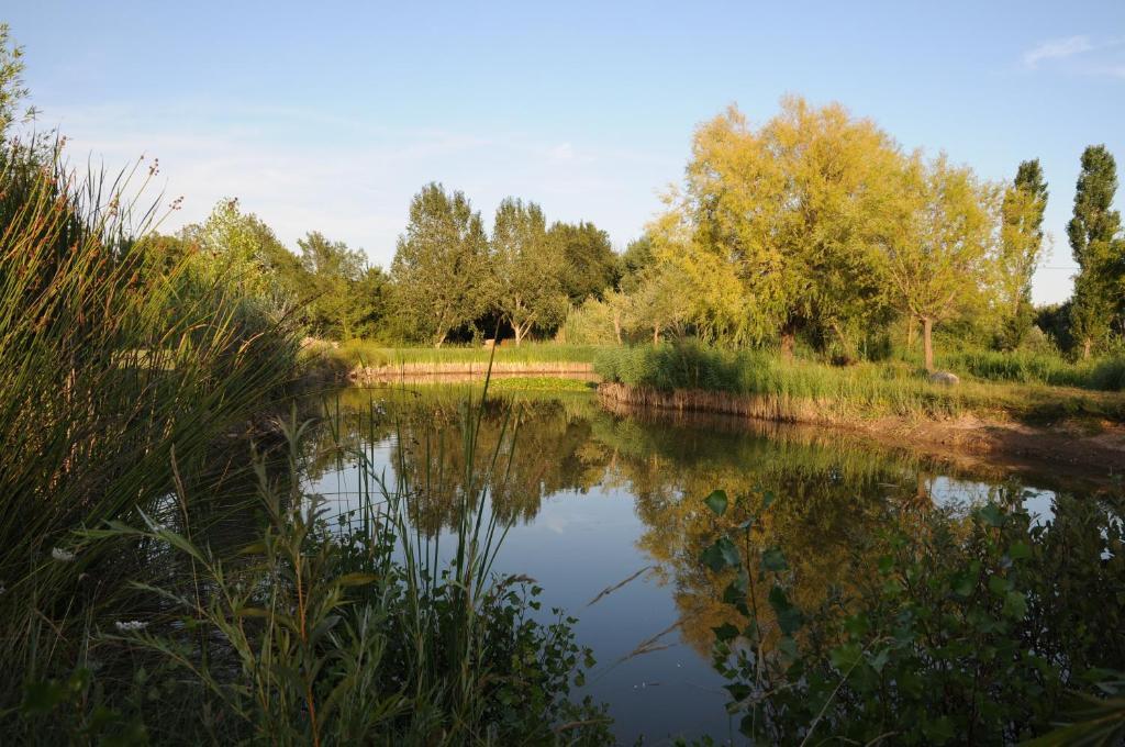 Domaine De La Begude Fayence Quarto foto